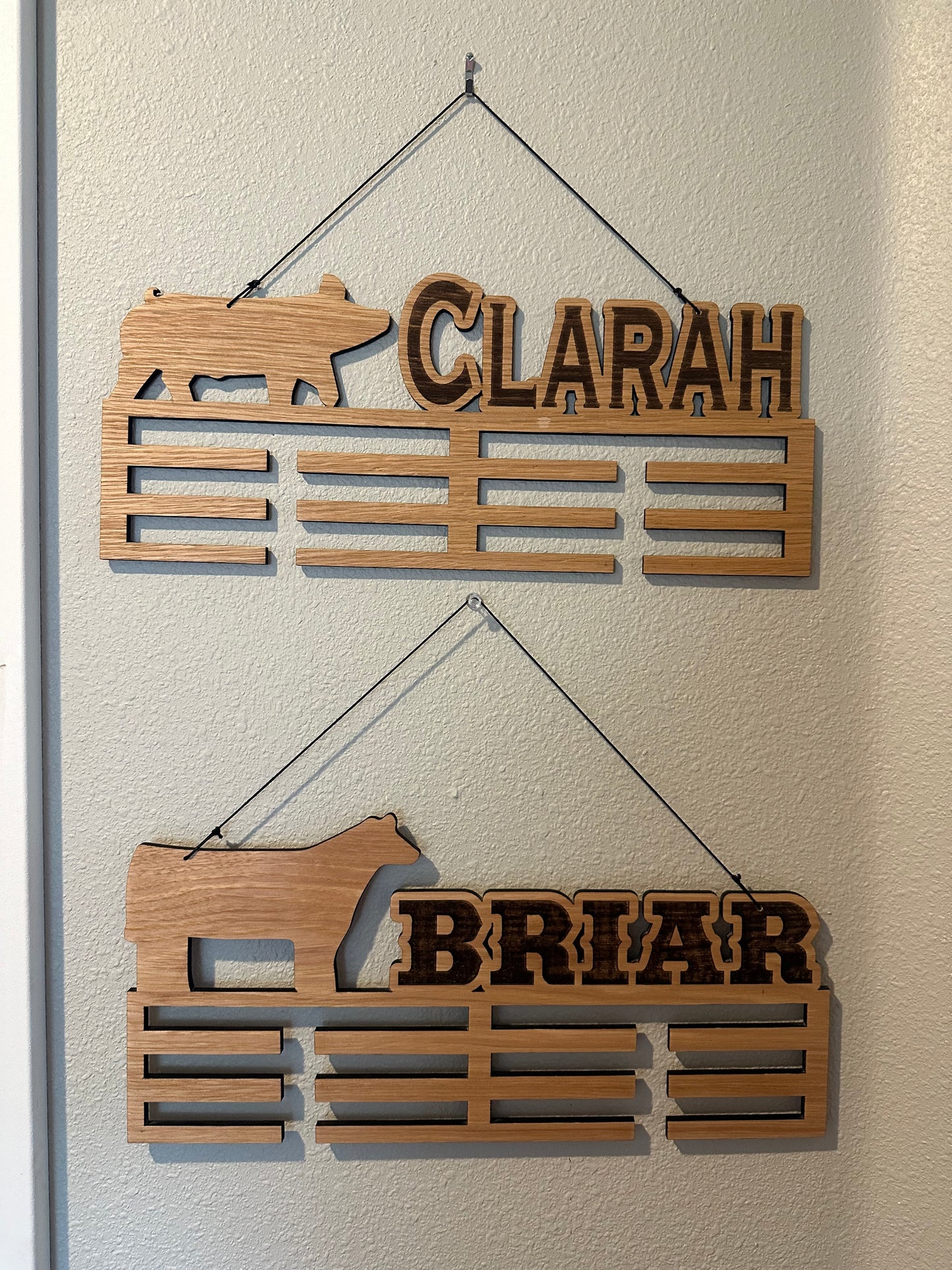 Ribbon/Medal Holder