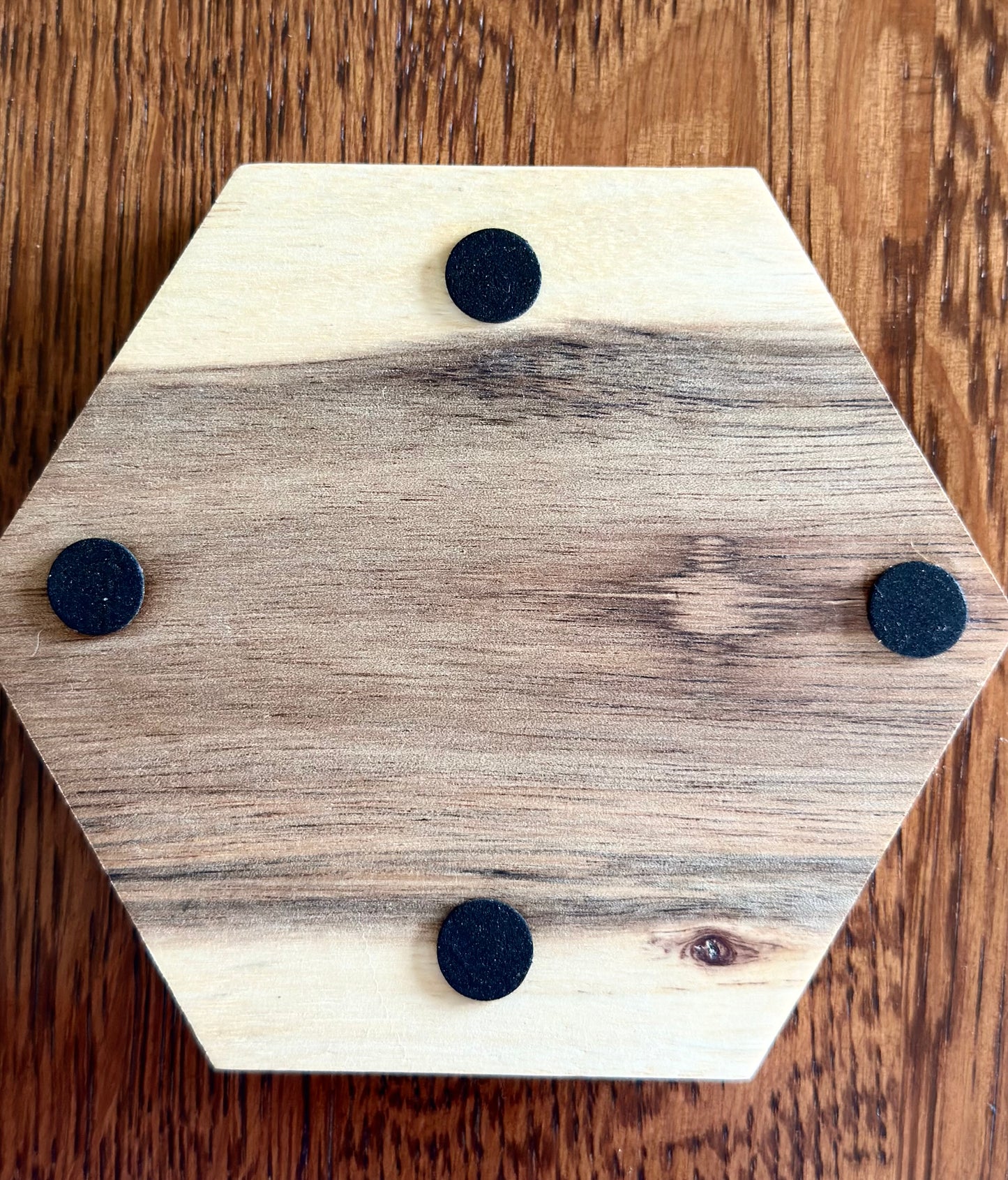 Octagon Desert Scene Coaster Set