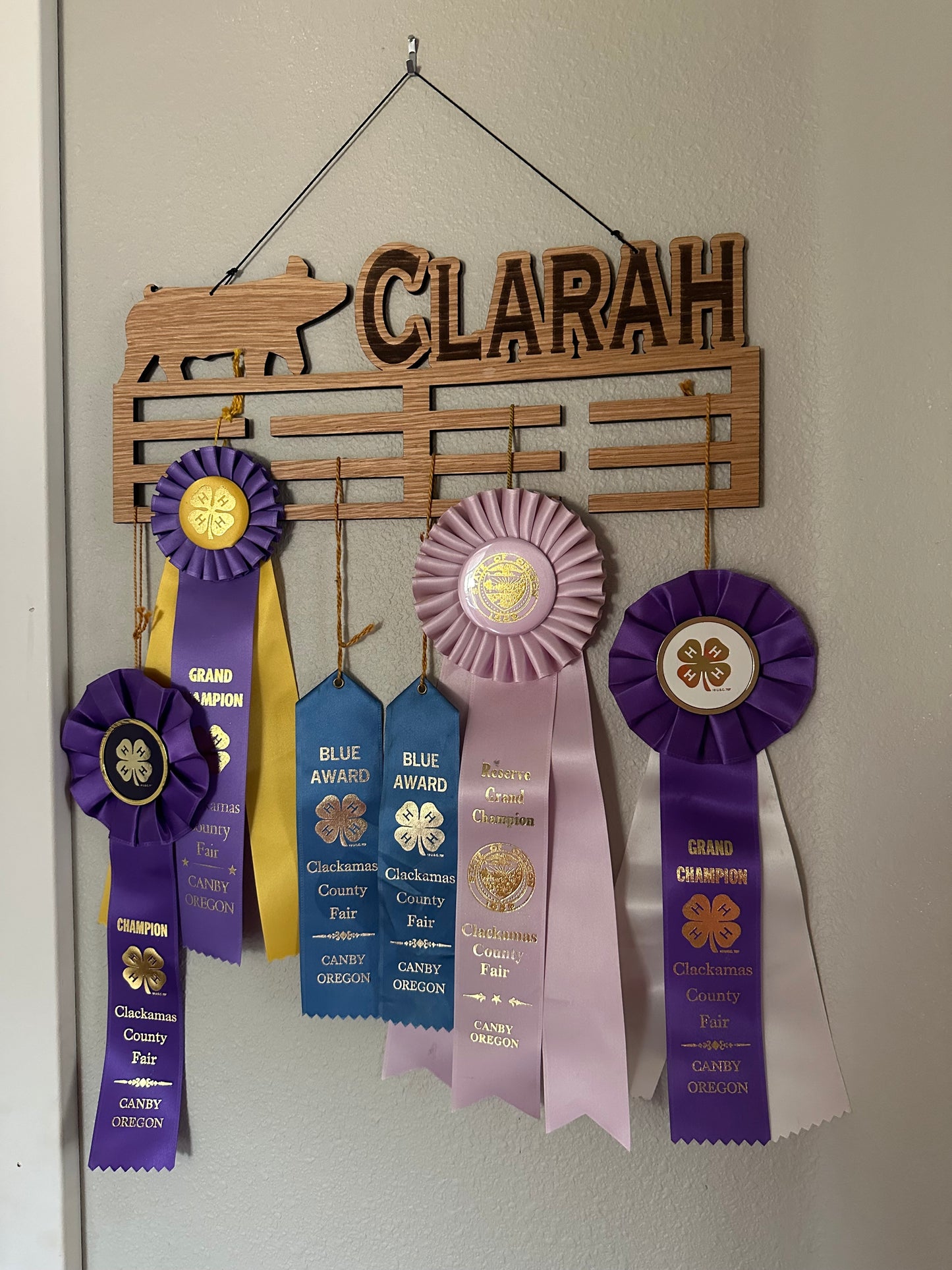 Ribbon/Medal Holder