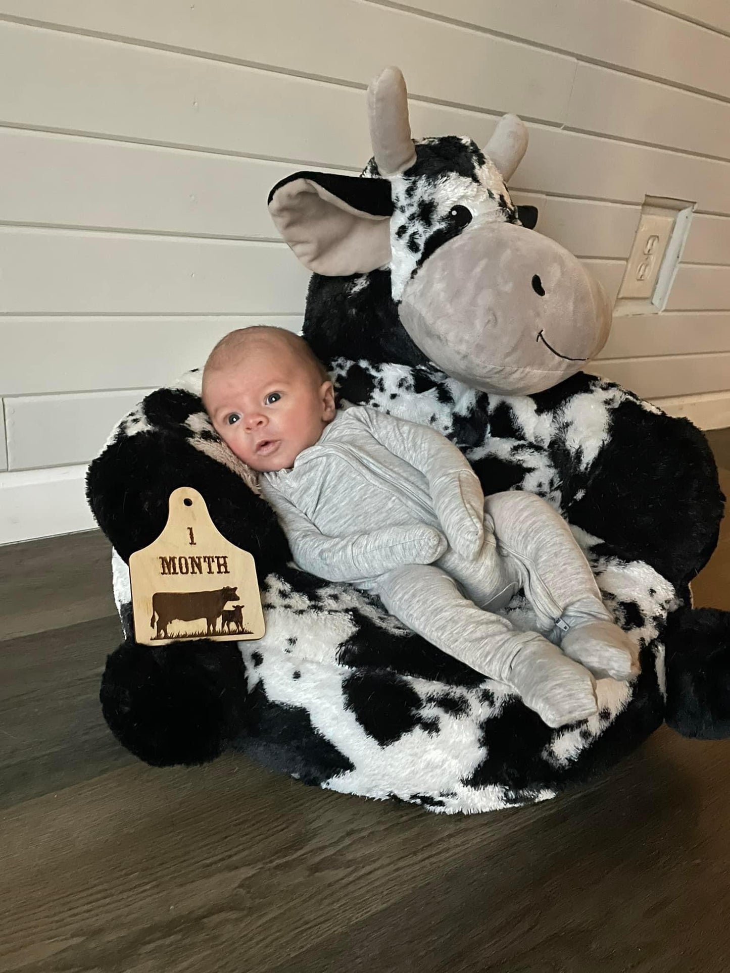 Cattle Call Baby Milestone Markers