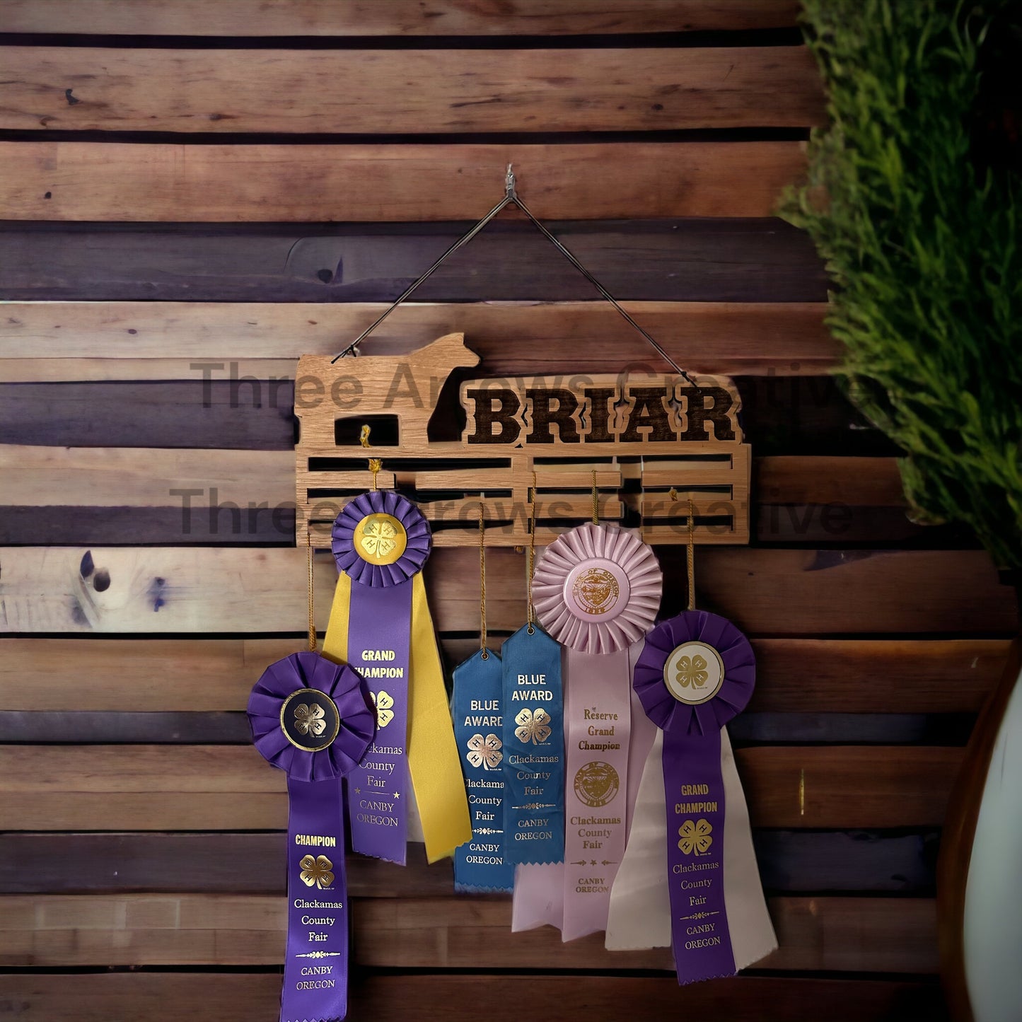 Ribbon/Medal Holder