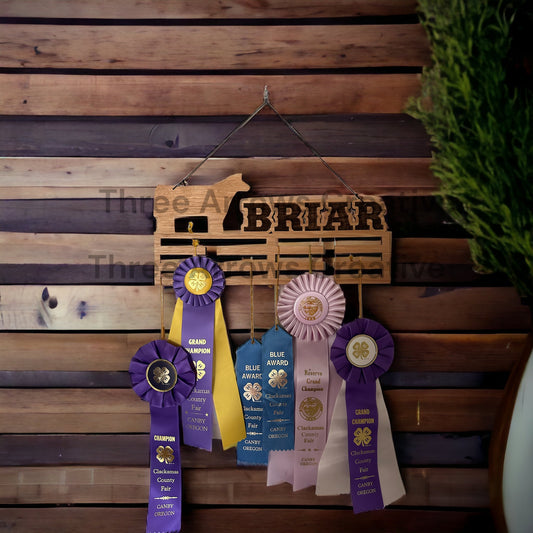 Ribbon/Medal Holder